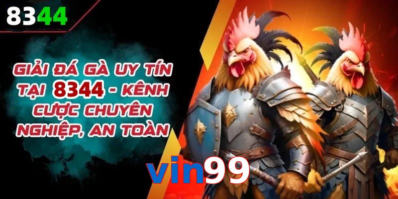 Đơn vị đồng hành cùng đá gà vin99